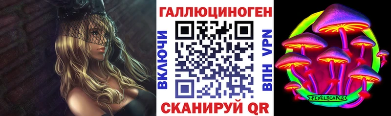 МЕГА вход  Чистополь  Псилоцибиновые грибы GOLDEN TEACHER 